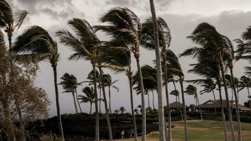 Hawaii'de kasırga nedeniyle 60 binden fazla hane karanlıkta kaldı - Resim: 5