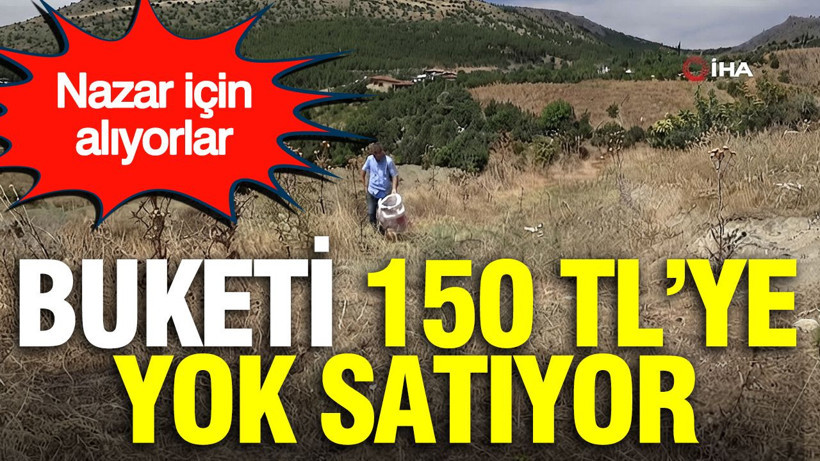 Buketi 150 TL'ye yok satıyor: Nazar için alıyorlar - Resim: 1
