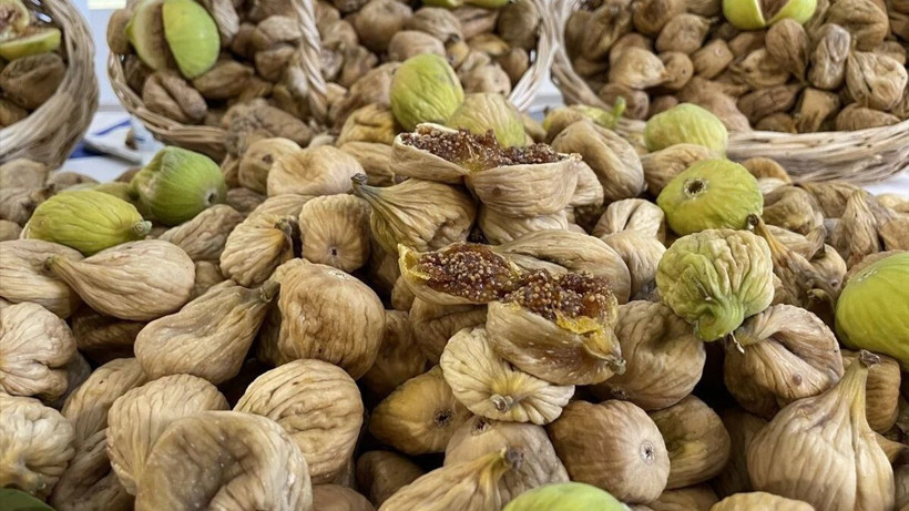 Kilosu 600 TL'den alıcı buldu: Bu ürün altınla yarışıyor,ilk hasadı başladı - Resim: 12