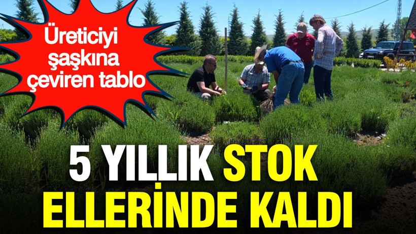 Üreticiyi şaşkına çeviren tablo: 5 yıllık stok ellerinde kaldı - Resim: 1