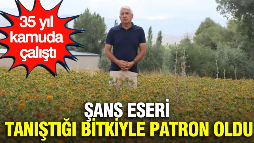 35 yıl kamuda çalıştı, emekli olunca şans eseri tanıştığı bitkiyle patron oldu - Resim: 1
