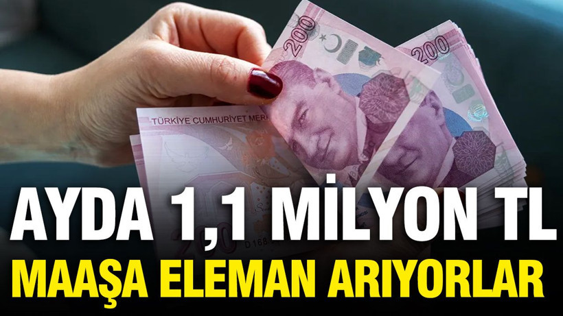 Ayda 1,1 milyon TL maaşa eleman arıyorlar: Bu da yapay zeka ilanı - Resim: 1