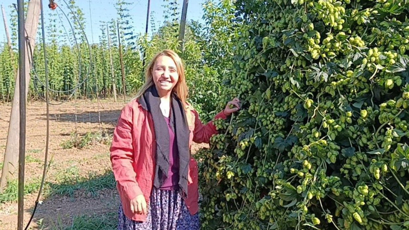 Yeşil altının fiyatı 122 TL: Türkiye’de sadece bu ilçede yetişiyor - Resim: 3