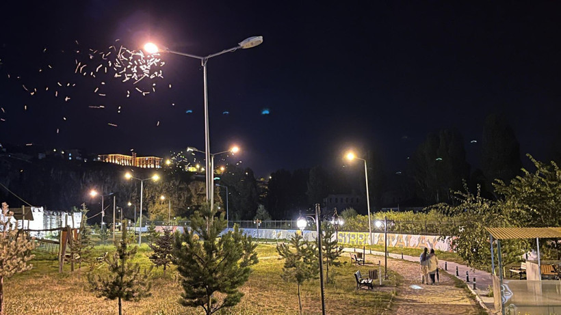 ardahanda-kelebeklerin-olum-dansi-bedy.jpg