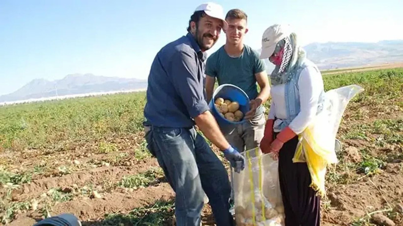 Tarlada kilosu 25 TL'ye kapış kapış satılıyor: Paraya para demiyorlar - Resim: 2