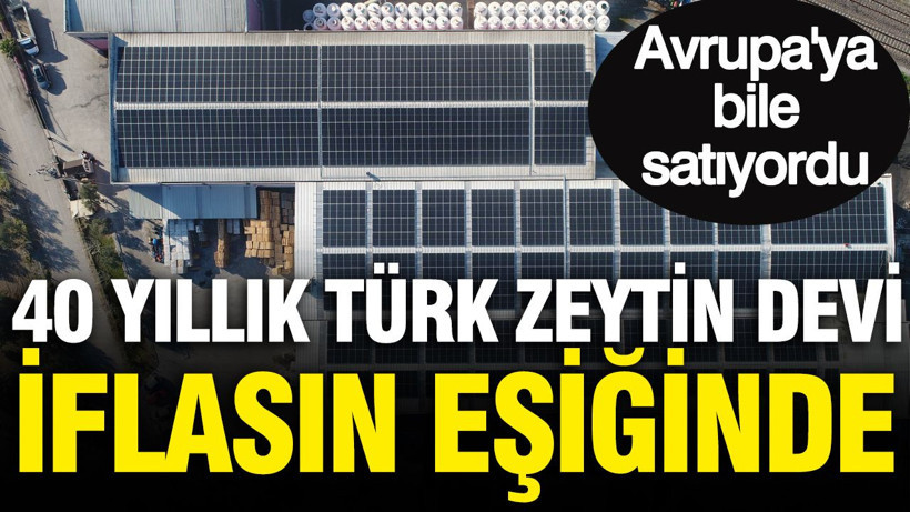 40 yıllık Türk zeytin devi iflasın eşiğinde: Avrupa'ya bile satıyordu - Resim: 1