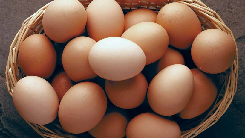 Belçika'da yumurtalar marketlerden tek tek toplatılıyor: Ölümcül bakteri tespit edildi - Resim: 3
