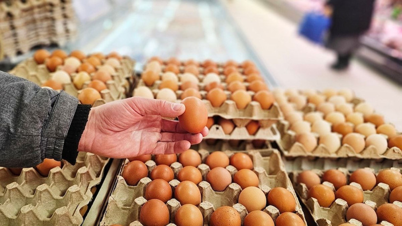 Belçika'da yumurtalar marketlerden tek tek toplatılıyor: Ölümcül bakteri tespit edildi - Resim: 4