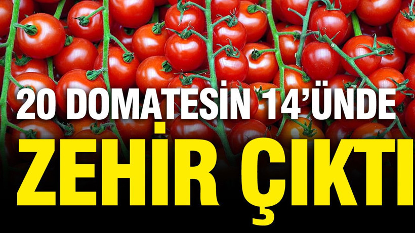 20 domatesin 14'ünde zehir çıktı - Resim: 1