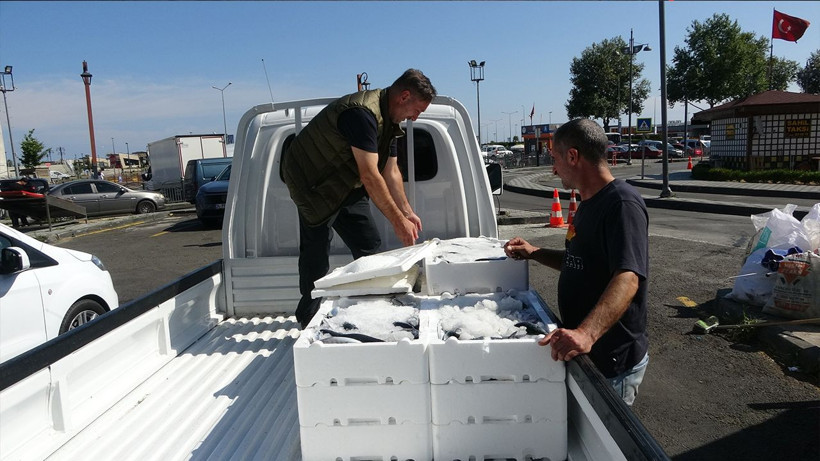 Denizlerde av yasağı kalktı: Tezgahlarda 'Vira Bismillah' palamudu bolluğu - Resim: 5