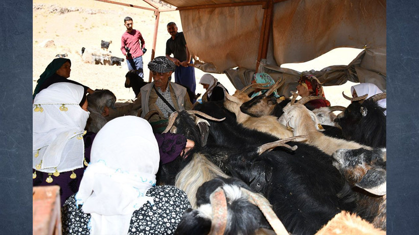 Doğallığın Bedeli: Beş ay boyunca yok satacak: Kilosu 10 bin lira - Resim: 11
