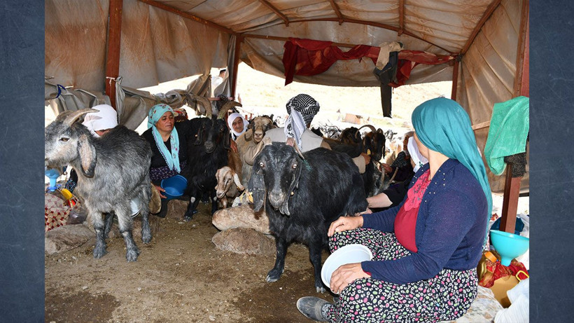 Doğallığın Bedeli: Beş ay boyunca yok satacak: Kilosu 10 bin lira - Resim: 2