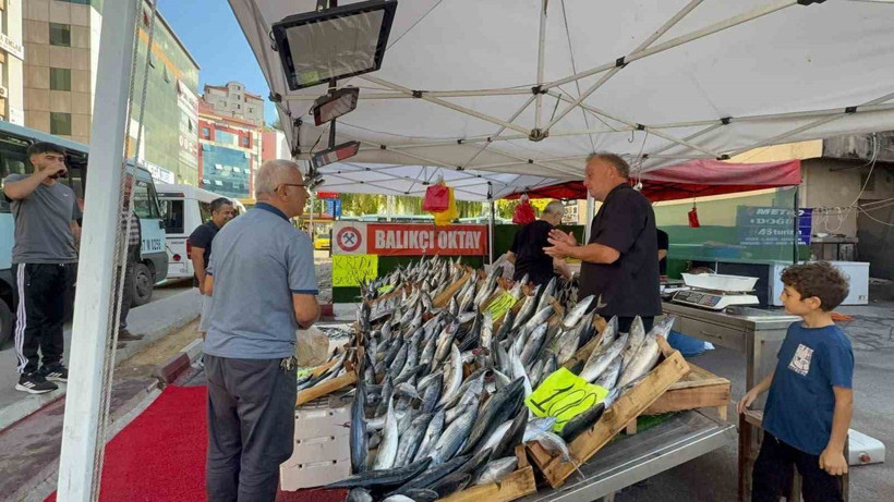 75 TL'den peynir ekmek gibi satıyor: Et ve tavuktan daha ucuz - Resim: 5