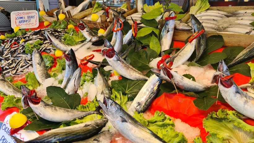 75 TL'den peynir ekmek gibi satıyor: Et ve tavuktan daha ucuz - Resim: 9