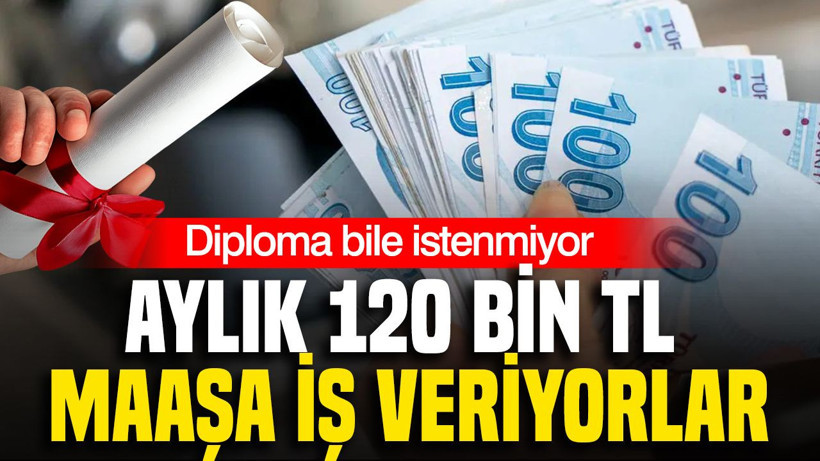 Aylık 120 bin TL maaşa iş veriyorlar: Diploma bile istenmiyor - Resim: 1