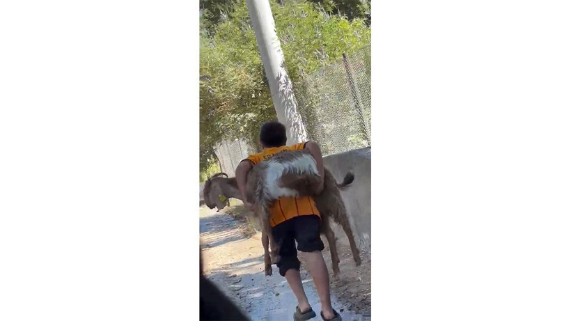 Alevler evi yaktı ama umudu söndüremedi: Sarıkız’a sırtlarında böyle taşıdı - Resim: 4