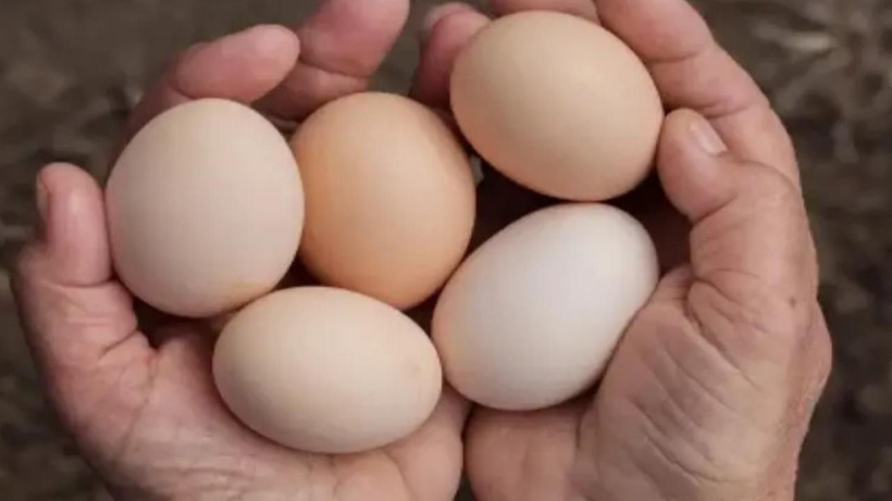 Yumurta alırken çoğu kişi fark etmiyor: Kolideki bu işareti görürseniz sakın almayın - Resim: 3
