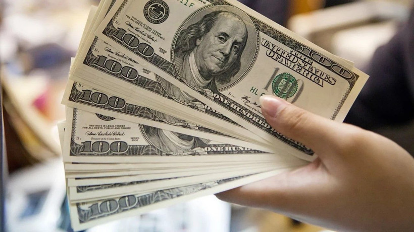 Evin bahçesinden 503 kiloluk servet çıktı: 100 milyar dolar değerinde - Resim: 2
