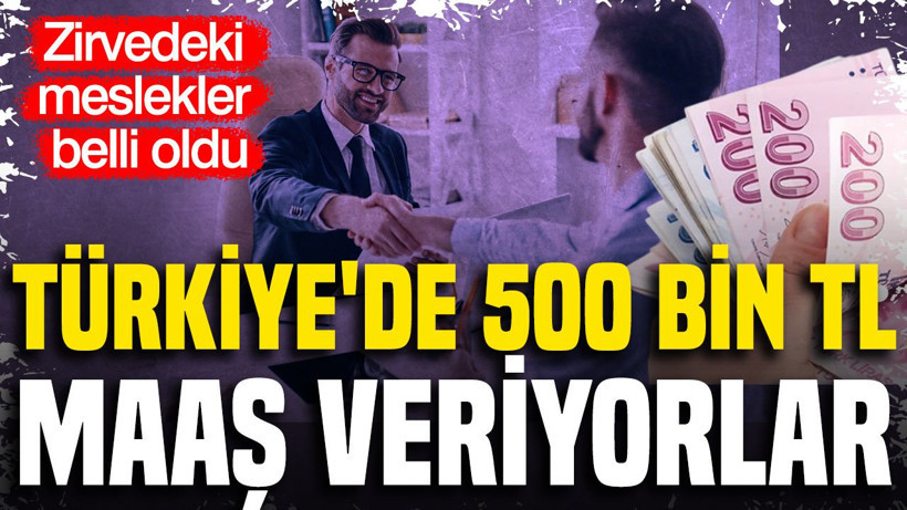 Türkiye'de 500 bin TL maaş veriyorlar: Zirvedeki meslekler belli oldu - Resim: 1