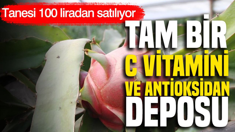 Tanesi 100 liradan satılıyor: Tam bir c vitamini ve antioksidan deposu - Resim: 1