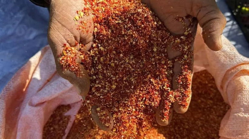 Kilosunu 400 TL’den peynir ekmek gibi satıyor: 300 bin TL kazanç sağlıyor - Resim: 9