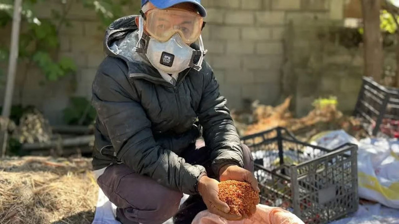 Kilosunu 400 TL’den peynir ekmek gibi satıyor: 300 bin TL kazanç sağlıyor - Resim: 4