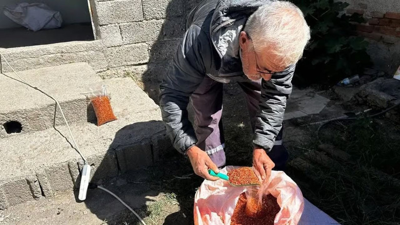 Kilosunu 400 TL’den peynir ekmek gibi satıyor: 300 bin TL kazanç sağlıyor - Resim: 5