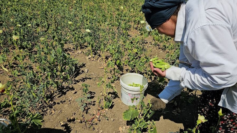 Kilosu 3 bin TL'ye çıktı: Vatandaş artık gramla almaya başladı - Resim: 8