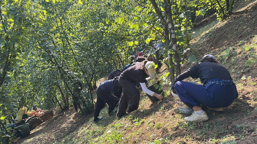 Köyün tamamı fabrikaya ortak oldu: Şimdi Amerika'ya ihracat yapıyorlar - Resim: 4