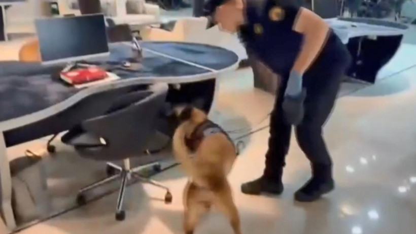 Kişisel verileri pazarlayan şebeke çökertildi: Hesaplar hareketlendi: MASAK devreye girdi - Resim : 2