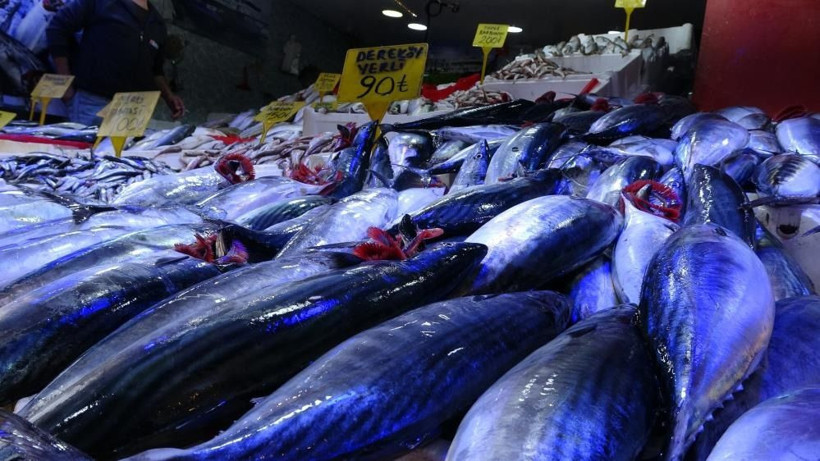 Kilosu 350 TL'den peynir ekmek gibi satıldı: 160 kiloluk ürün şaşırttı - Resim: 2