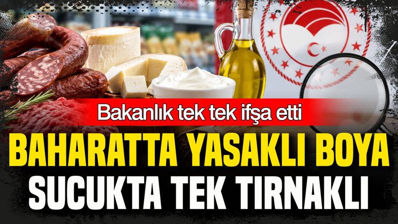 Bakanlık tek tek ifşa etti: Baharatta yasaklı boya, sucukta tek tırnaklı - Resim: 13
