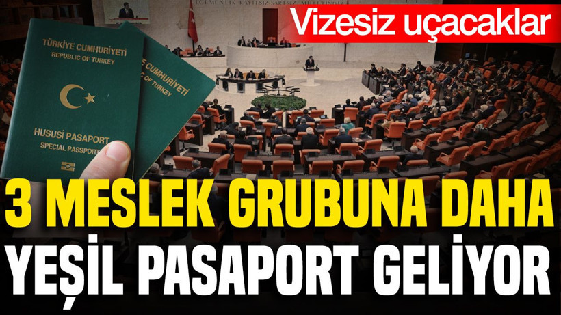 3 meslek grubuna daha yeşil pasaport talebi: Vizesiz uçacaklar - Resim: 1