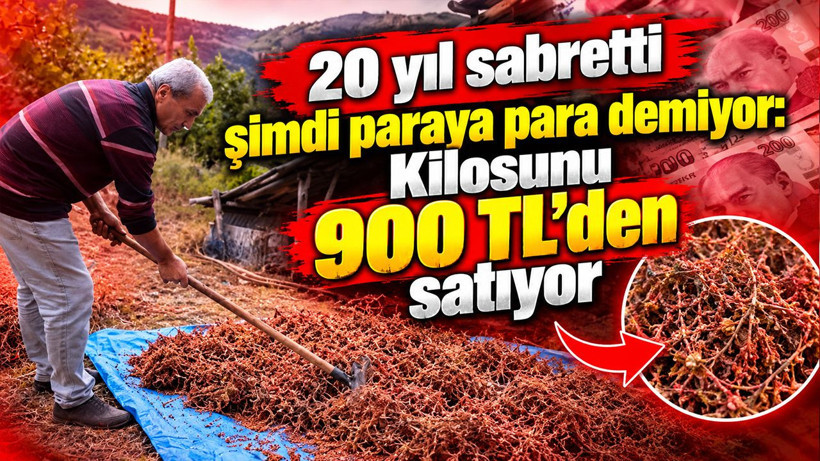 20 yıl sabretti şimdi paraya para demiyor: Kilosunu 900 TL'den satıyor - Resim: 1