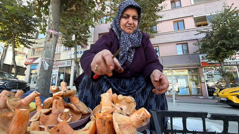Ormandan topluyor, pazarda paraya çeviriyor: Kilosu 600 lira - Resim: 7