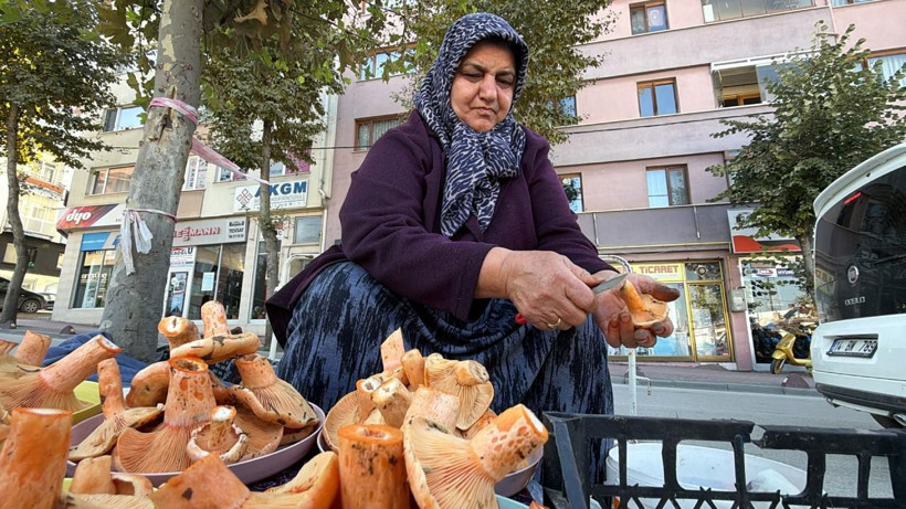 Ormandan topluyor, pazarda paraya çeviriyor: Kilosu 600 lira - Resim: 6