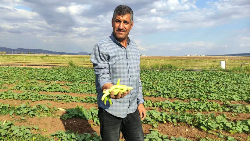 Kış sofralarının vazgeçilmezi: Kilosu 30 TL'den adeta yok satıyor - Resim: 1