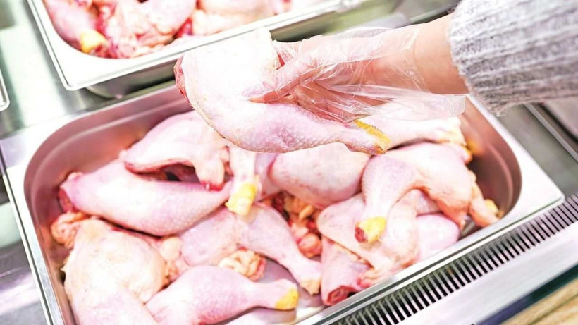 Marketlerdeki tavukların renkleri neden farklı? Nedeni belli oldu - Resim: 11