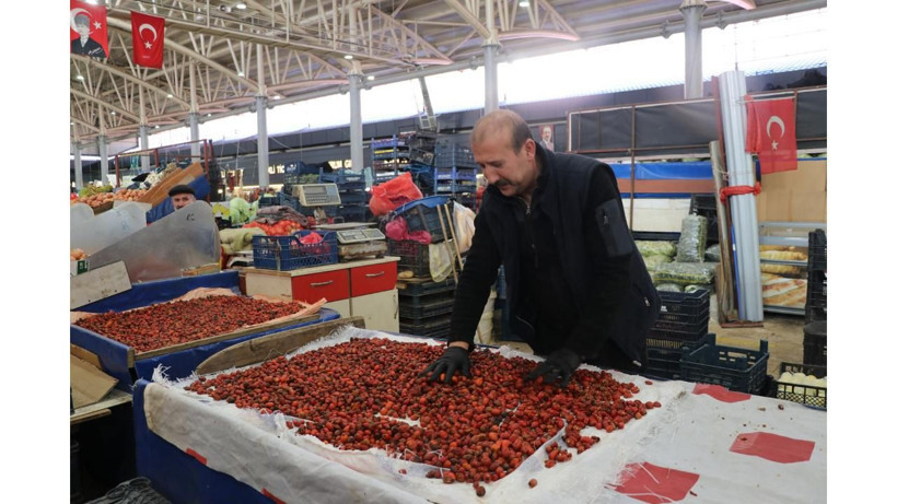 Dikenine katlanan kazanıyor: Dağlardan toplayıp kilosunu 150 liraya satıyorlar - Resim: 1