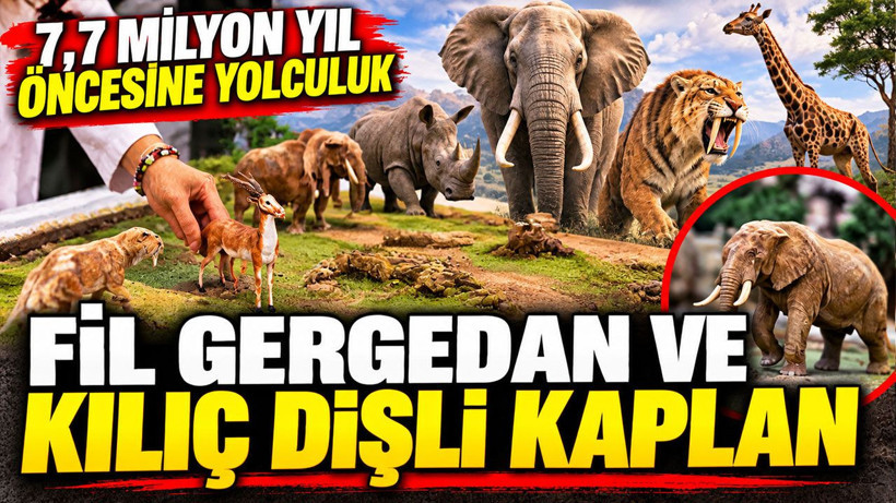 Fil, gergedan ve kılıç dişli kaplan: 7,7 milyon yıl öncesine yolculuk - Resim: 1