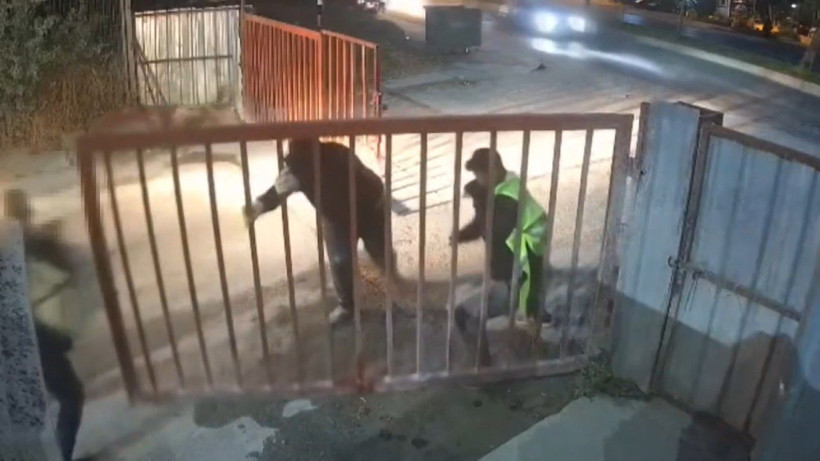 Bakırköy’deki Olimpik Havuz inşaatından kablo çalan 13 kişi yakalandı - Resim: 8