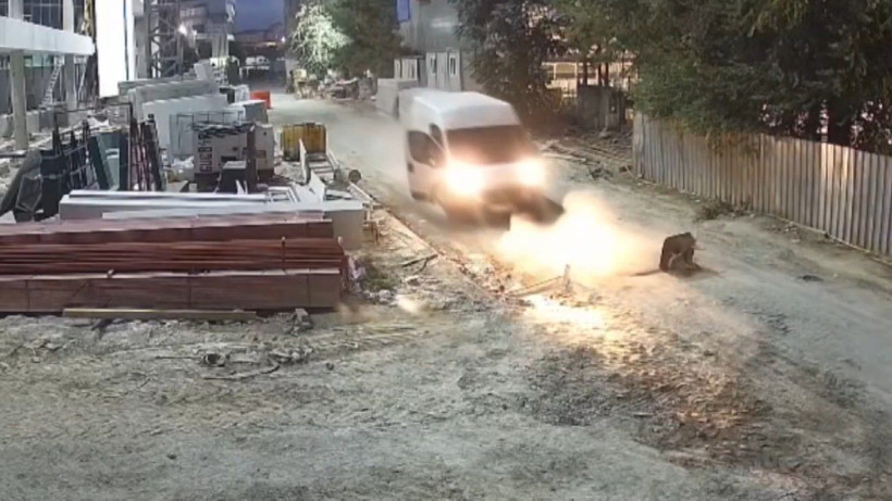 Bakırköy’deki Olimpik Havuz inşaatından kablo çalan 13 kişi yakalandı - Resim: 6