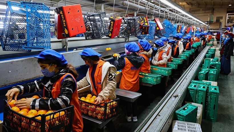 İş ilanlarında en yoğun o sektör öne çıktı - Resim : 1