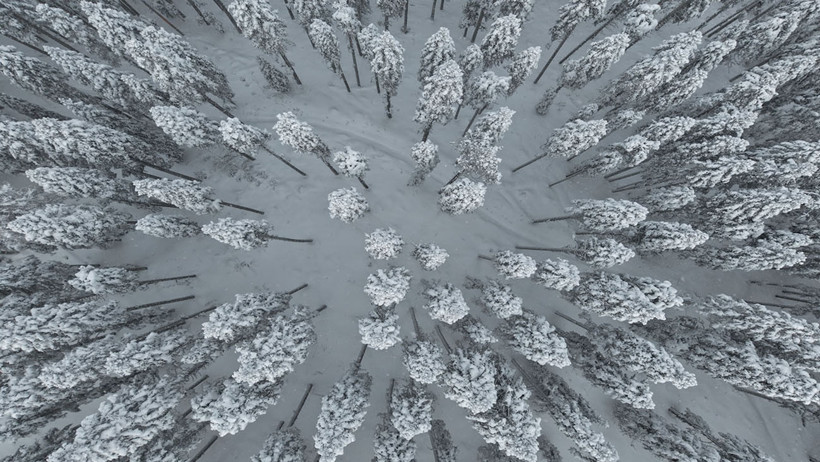 Gökyüzünden Ilgaz manzaraları: Sis ve karın muhteşem dansı - Resim : 3