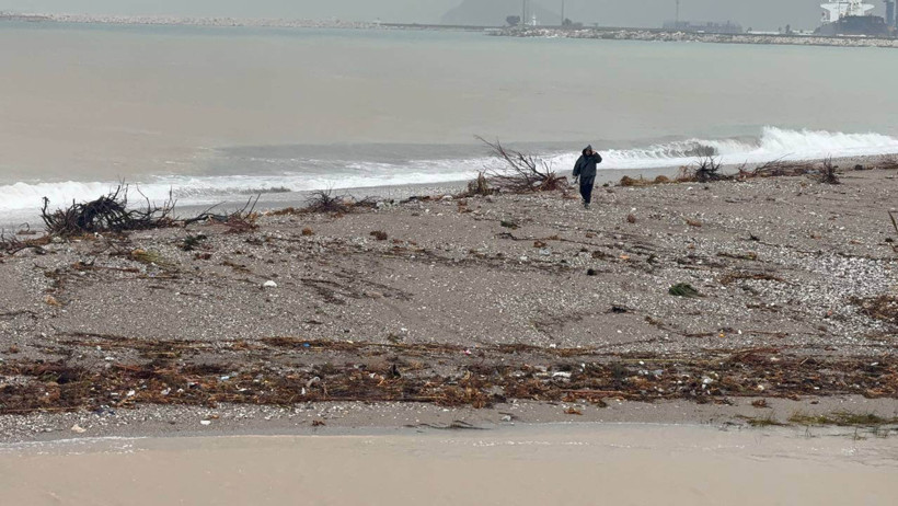 Turizm kentinde büyük yıkım: Milyonlarca lira zarar: Hortum seraları kağıt gibi yırttı - Resim : 11