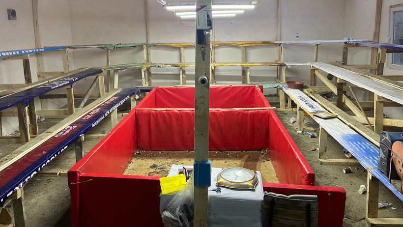 Horoz dövüştürmeye 1 milyonluk dev ceza - Resim : 1