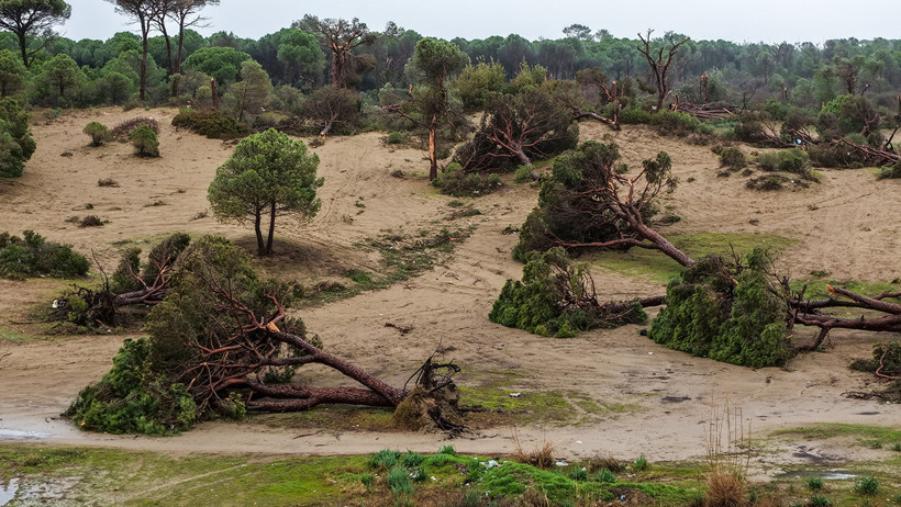 Antalya'da enkaz kaldırılıyor: Hortum kenti olumsuz etkiledi - Resim : 2