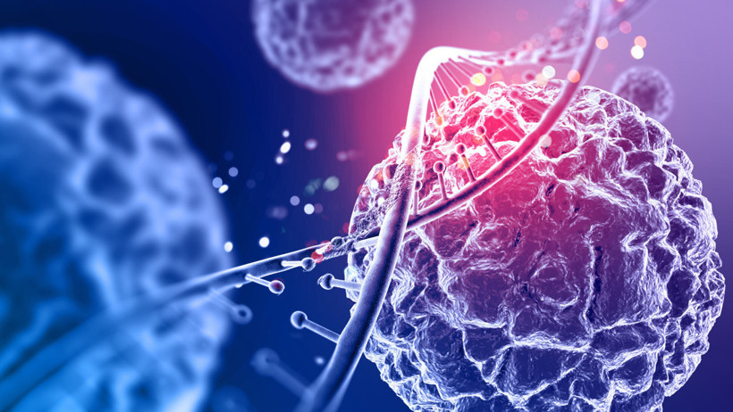 Kanser vakaları artıyor: Dünyada 20 milyon Türkiye’de 240 bin yeni tanı - Resim : 3