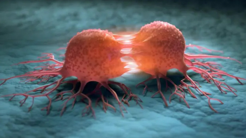 Kanser vakaları artıyor: Dünyada 20 milyon Türkiye’de 240 bin yeni tanı - Resim : 4