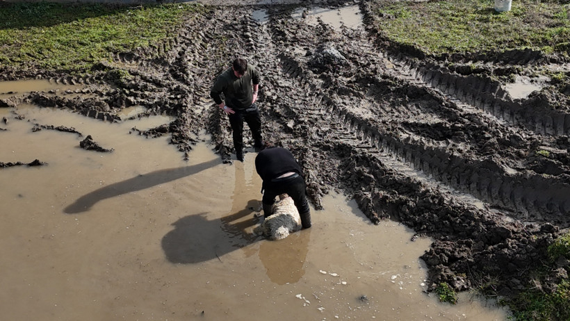 Meri&ccedil; Nehri taştı, her yer sular altında kaldı - Resim : 1